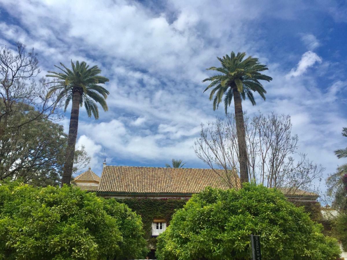 Apartamento Dona Maria Coronel Sevilla — Photos 2